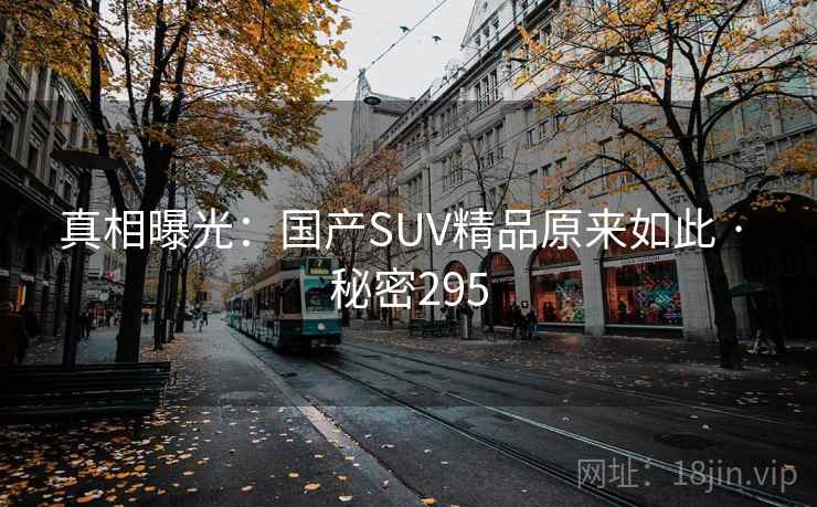 真相曝光：国产SUV精品原来如此 · 秘密295