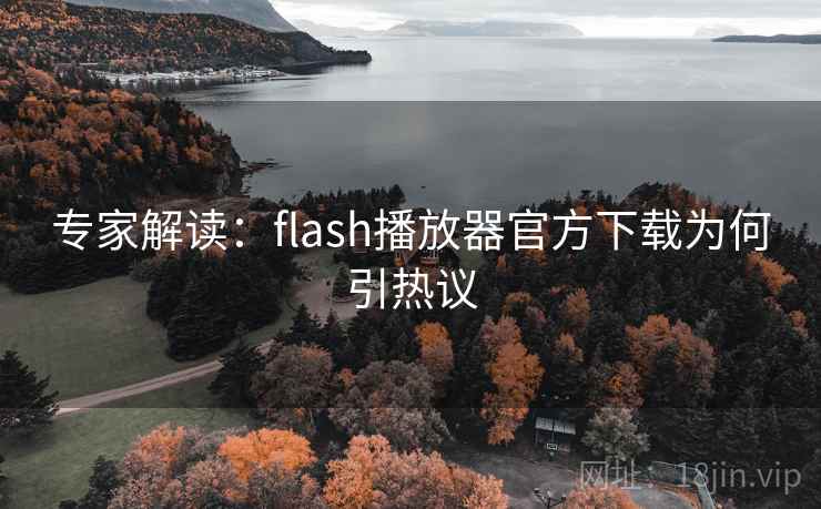 专家解读:flash播放器官方下载为何引热议