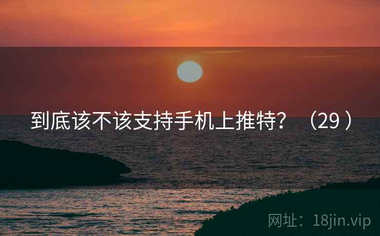 到底该不该支持手机上推特？（29 ）  第2张